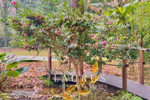 Villa i Lucca, Lucca, Lucca - € 2.300.000 | Ref: LA-3897-1041915 - foto 10