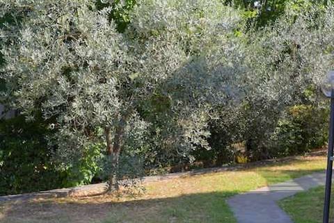 Villa a Impruneta, Florence, Impruneta - € 540.000 | Ref: LA-3223-1042123 - foto 5