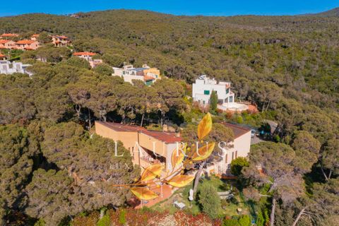Villa a Rosignano Marittimo, Livorno, Rosignano Marittimo - € 635.000 | Ref: LA-2738-1042279 - foto 5