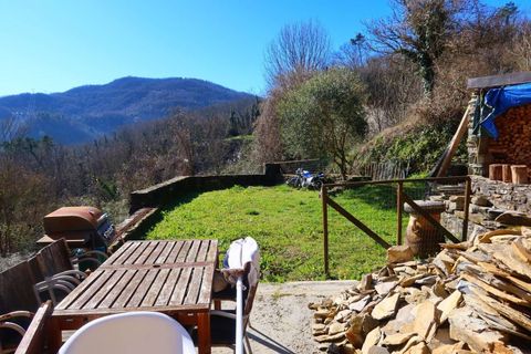 Villa i Tresana, Massa and Carrara, Tresana - € 100.000 | Ref: 374B-1042739 - foto 43