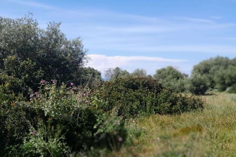 Villa i Scicli, Ragusa, Scicli - € 195.000 | Ref: RP-1048967-1048967 - foto 4