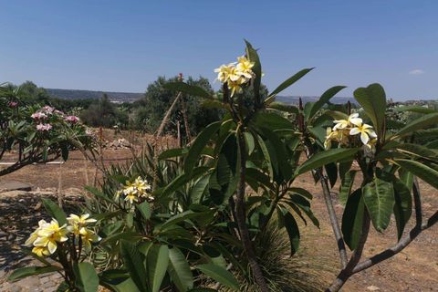 Villa i Scicli, Ragusa, Scicli - € 195.000 | Ref: RP-1048967-1048967 - foto 6