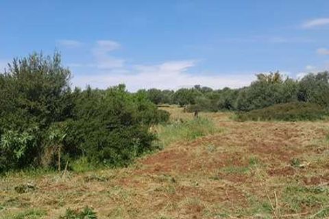 Villa i Scicli, Ragusa, Scicli - € 195.000 | Ref: RP-1048967-1048967 - foto 8