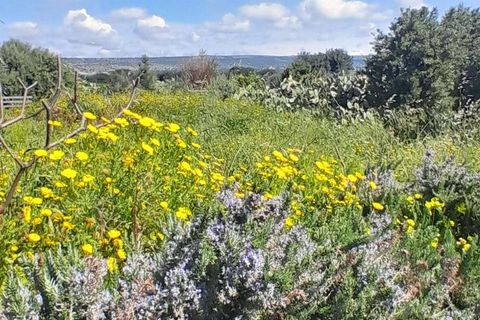 Villa i Scicli, Ragusa, Scicli - € 195.000 | Ref: RP-1048967-1048967 - foto 12