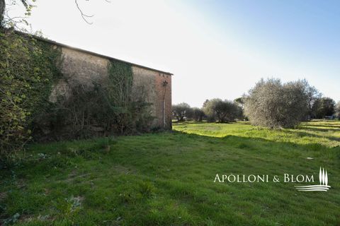 Villa a Pienza, Siena, Pienza - € 2.350.000 | Ref: PNZ3561-1049544 - foto 15