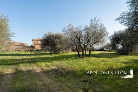Villa a Pienza, Siena, Pienza - € 2.350.000 | Ref: PNZ3561-1049544 - foto 19