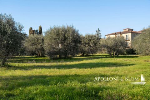 Villa a Pienza, Siena, Pienza - € 2.350.000 | Ref: PNZ3561-1049544 - foto 34