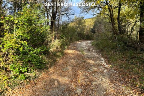 Villa a Sassofortino, Grosseto, Sassofortino - € 79.400 | Ref: 41741006-92-1050725 - foto 20