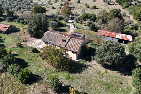 Villa i Amelia, Terni, Amelia - € 560.000 | Ref: PorchianoO10-1052920 - foto 5