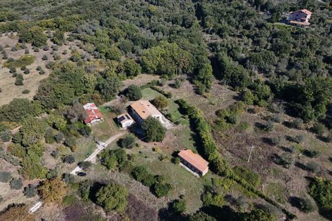 Villa i Amelia, Terni, Amelia - € 560.000 | Ref: PorchianoO10-1052920 - foto 11