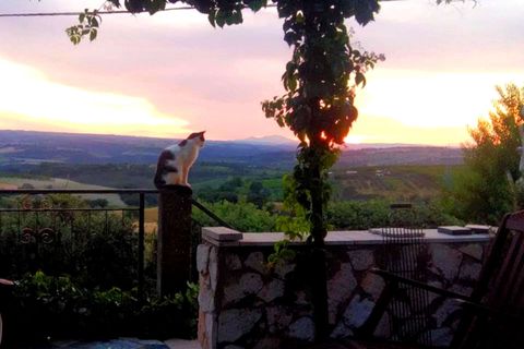 Villa a Montecchio, Terni, Montecchio - € 350.000 | Ref: MON24-1-1-1-1052946 - foto 8