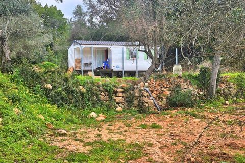 Helårsgrund i Estoi, Faro, Estoi - € 70.000 | Ref: A5131 - foto 1