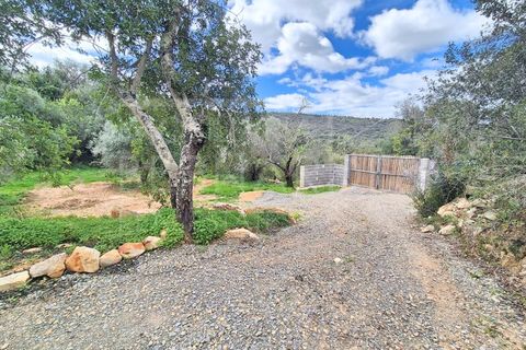 Helårsgrund i Estoi, Faro, Estoi - € 70.000 | Ref: A5131 - foto 2