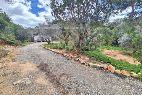 Helårsgrund i Estoi, Faro, Estoi - € 70.000 | Ref: A5131 - foto 4