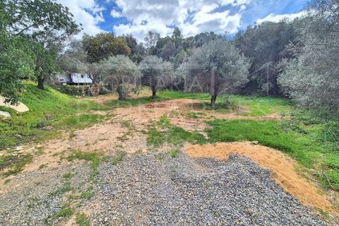 Helårsgrund i Estoi, Faro, Estoi - € 70.000 | Ref: A5131 - foto 6