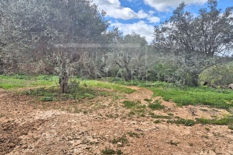 Helårsgrund i Estoi, Faro, Estoi - € 70.000 | Ref: A5131 - foto 7