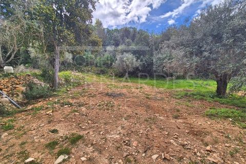 Helårsgrund i Estoi, Faro, Estoi - € 70.000 | Ref: A5131 - foto 8