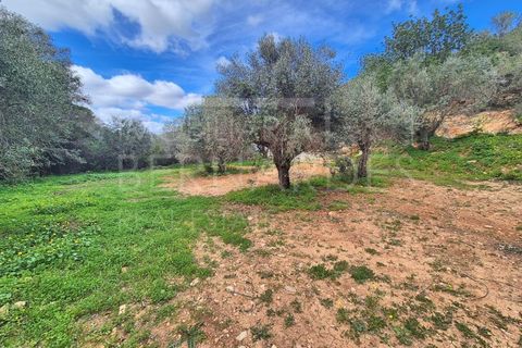 Helårsgrund i Estoi, Faro, Estoi - € 70.000 | Ref: A5131 - foto 9