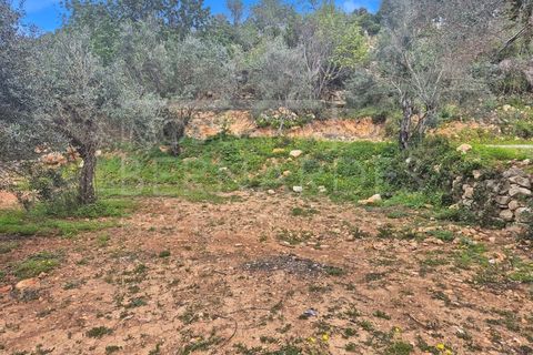 Helårsgrund i Estoi, Faro, Estoi - € 70.000 | Ref: A5131 - foto 10