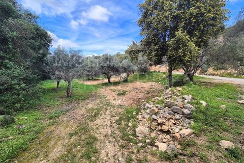 Helårsgrund i Estoi, Faro, Estoi - € 70.000 | Ref: A5131 - foto 11