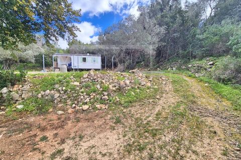 Helårsgrund i Estoi, Faro, Estoi - € 70.000 | Ref: A5131 - foto 12