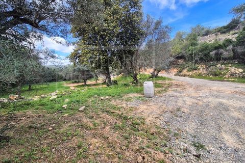 Helårsgrund i Estoi, Faro, Estoi - € 70.000 | Ref: A5131 - foto 13