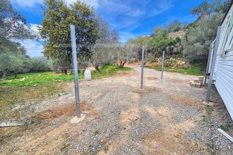 Helårsgrund i Estoi, Faro, Estoi - € 70.000 | Ref: A5131 - foto 15