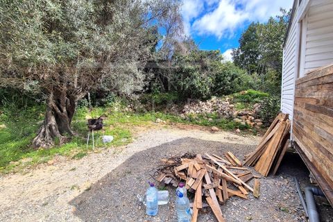 Helårsgrund i Estoi, Faro, Estoi - € 70.000 | Ref: A5131 - foto 16