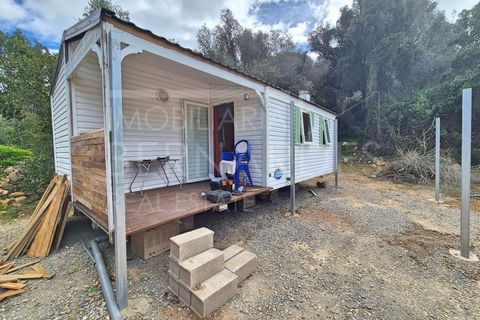 Helårsgrund i Estoi, Faro, Estoi - € 70.000 | Ref: A5131 - foto 17