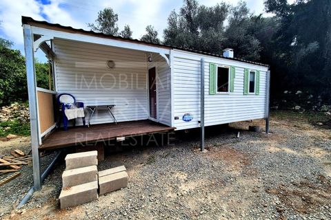 Helårsgrund i Estoi, Faro, Estoi - € 70.000 | Ref: A5131 - foto 18