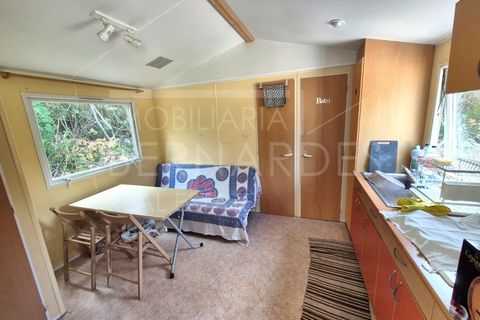 Helårsgrund i Estoi, Faro, Estoi - € 70.000 | Ref: A5131 - foto 21