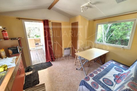Helårsgrund i Estoi, Faro, Estoi - € 70.000 | Ref: A5131 - foto 22