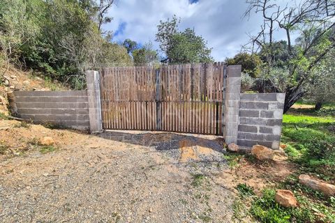 Helårsgrund i Estoi, Faro, Estoi - € 70.000 | Ref: A5131 - foto 30