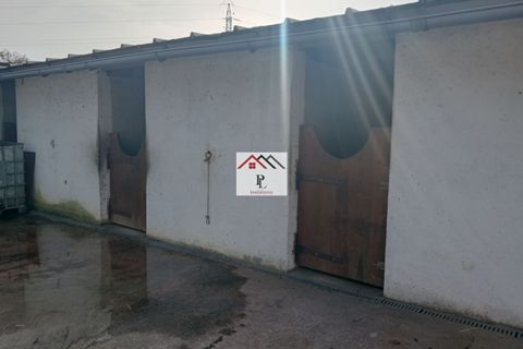 Helårsgrund i Coimbra, Coimbra, Coimbra - € 45.000 | Ref: V969MS - foto 3