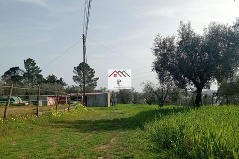 Helårsgrund i Coimbra, Coimbra, Coimbra - € 45.000 | Ref: V969MS - foto 5
