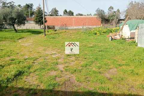 Helårsgrund i Coimbra, Coimbra, Coimbra - € 45.000 | Ref: V969MS - foto 6