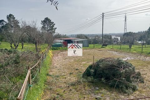 Helårsgrund i Coimbra, Coimbra, Coimbra - € 45.000 | Ref: V969MS - foto 8