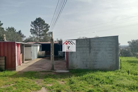 Helårsgrund i Coimbra, Coimbra, Coimbra - € 45.000 | Ref: V969MS - foto 9