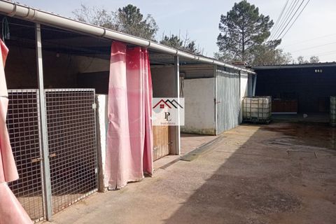 Helårsgrund i Coimbra, Coimbra, Coimbra - € 45.000 | Ref: V969MS - foto 11