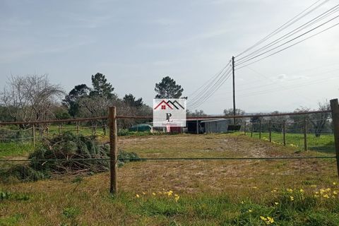 Helårsgrund i Coimbra, Coimbra, Coimbra - € 45.000 | Ref: V969MS - foto 15