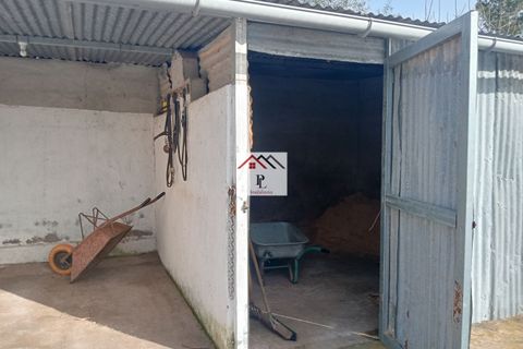 Helårsgrund i Coimbra, Coimbra, Coimbra - € 45.000 | Ref: V969MS - foto 18