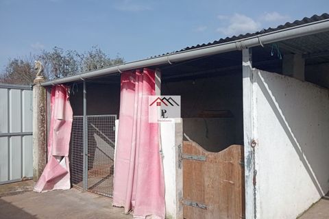 Helårsgrund i Coimbra, Coimbra, Coimbra - € 45.000 | Ref: V969MS - foto 22
