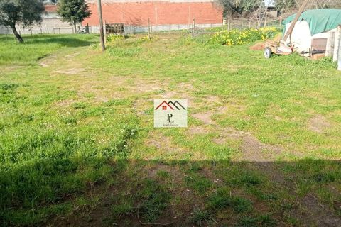 Helårsgrund i Coimbra, Coimbra, Coimbra - € 45.000 | Ref: V969MS - foto 27