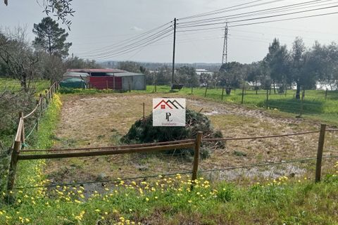 Helårsgrund i Coimbra, Coimbra, Coimbra - € 45.000 | Ref: V969MS - foto 28