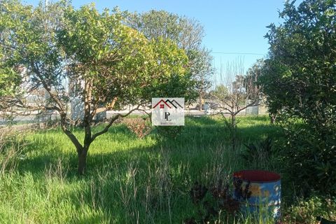 Villa i Cantanhede, Coimbra, Cantanhede - € 300.000 | Ref: V975MS - foto 2