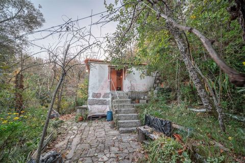 Villa a Fafe, Braga, Fafe - € 119.000 | Ref: 002-263 - foto 10