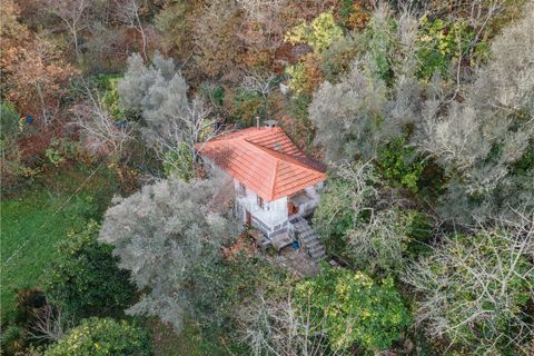 Villa a Fafe, Braga, Fafe - € 119.000 | Ref: 002-263 - foto 14