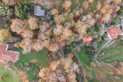 Villa a Fafe, Braga, Fafe - € 119.000 | Ref: 002-263 - foto 17