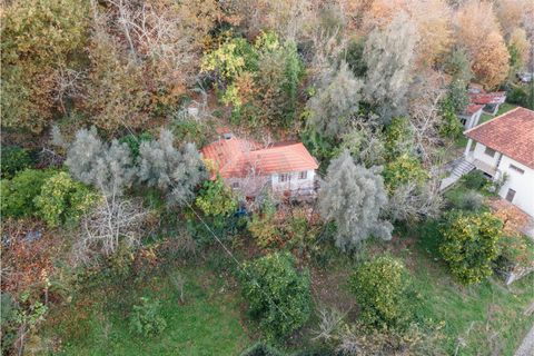 Villa a Fafe, Braga, Fafe - € 119.000 | Ref: 002-263 - foto 19