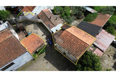 Villa i Castelo Branco, Castelo Branco, Castelo Branco - € 35.000 | Ref: 5035 - foto 20